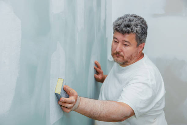 Best Fire-Damaged Drywall Repair  in Williamstown, PA